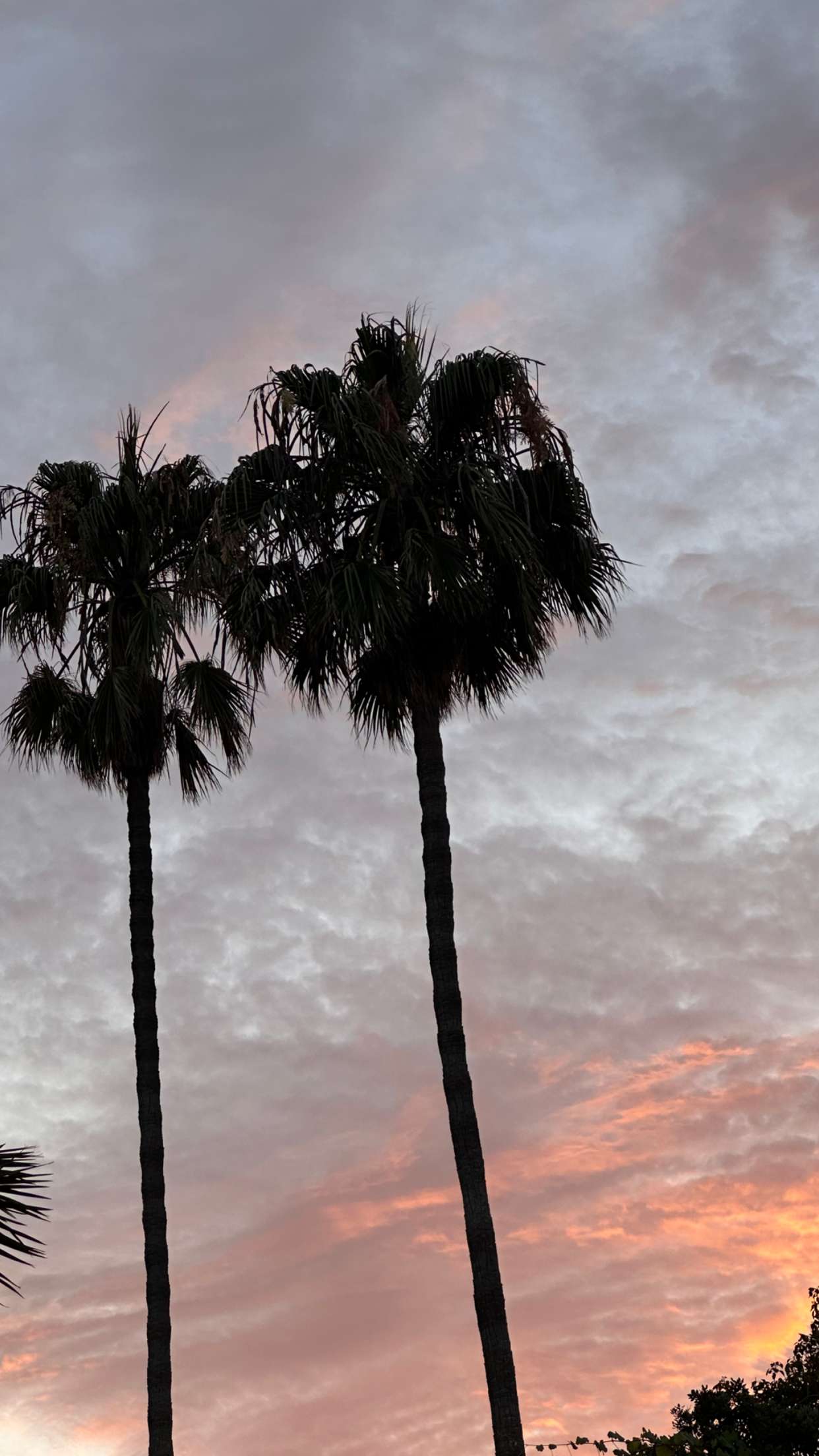 emilyelizabbeth snapchat image archive image