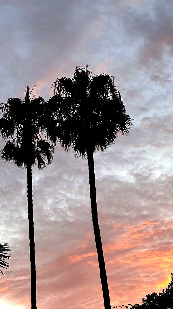 emilyelizabbeth image ~ Altpins