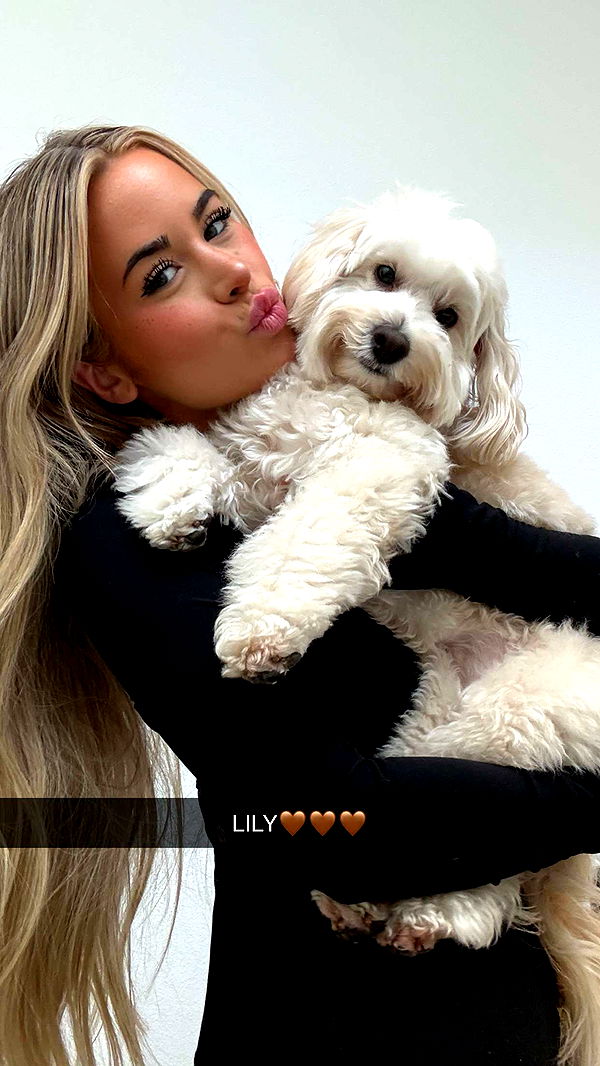 emilyelizabbeth image ~ Altpins