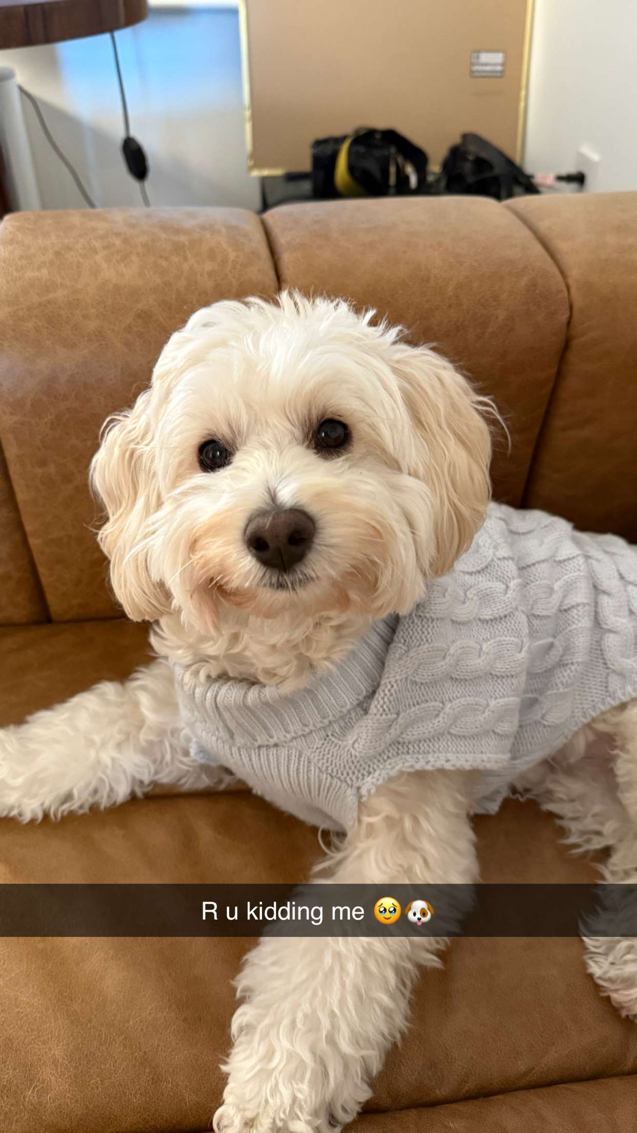 emilyelizabbeth snapchat image archive image