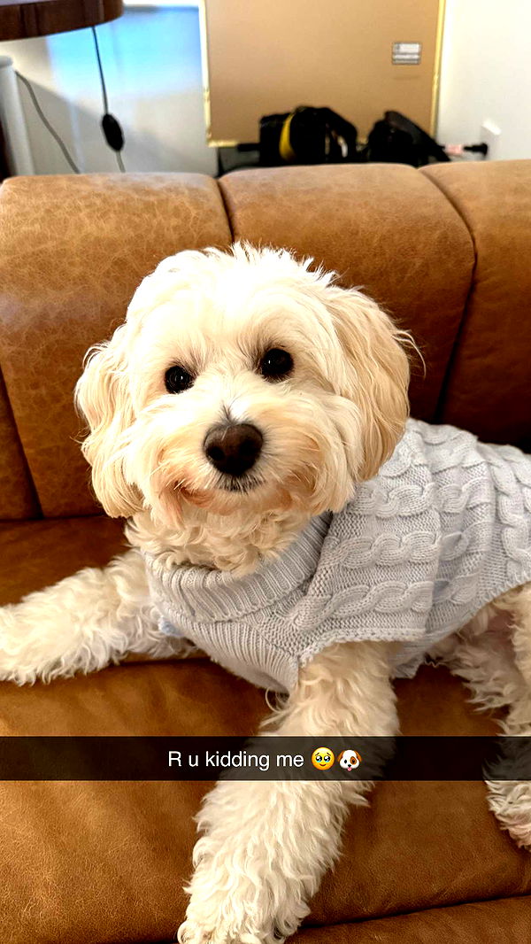 emilyelizabbeth image ~ Altpins