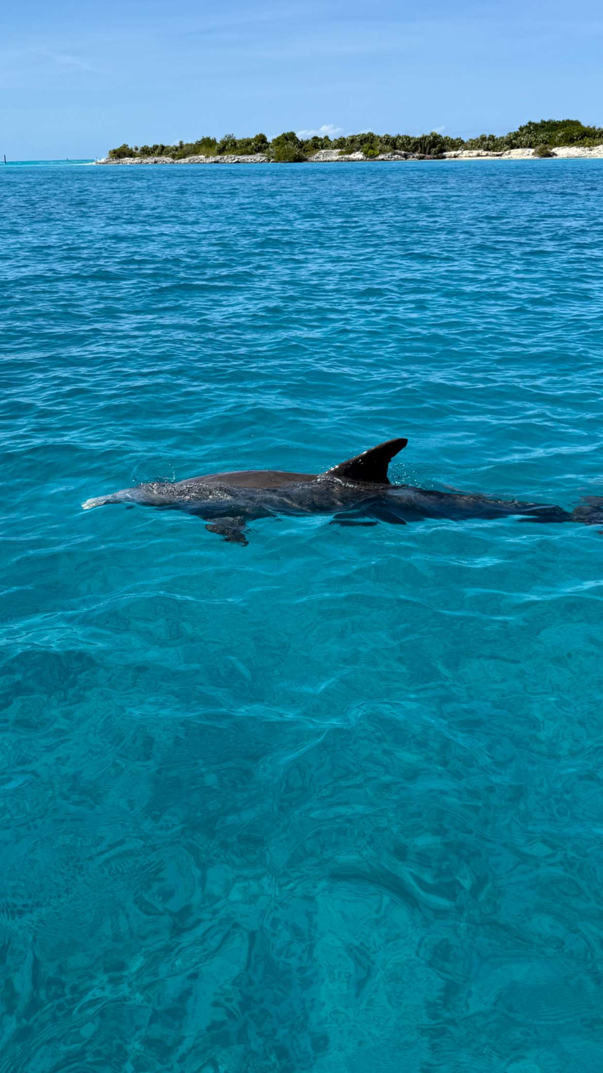 emilyelizabbeth snapchat image archive image