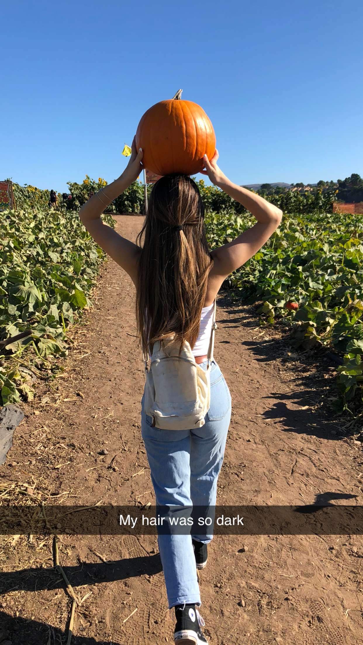 emilyelizabbeth snapchat image archive image