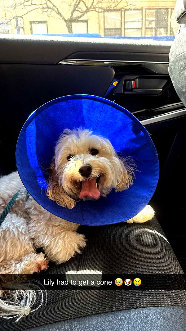 emilyelizabbeth image ~ Altpins