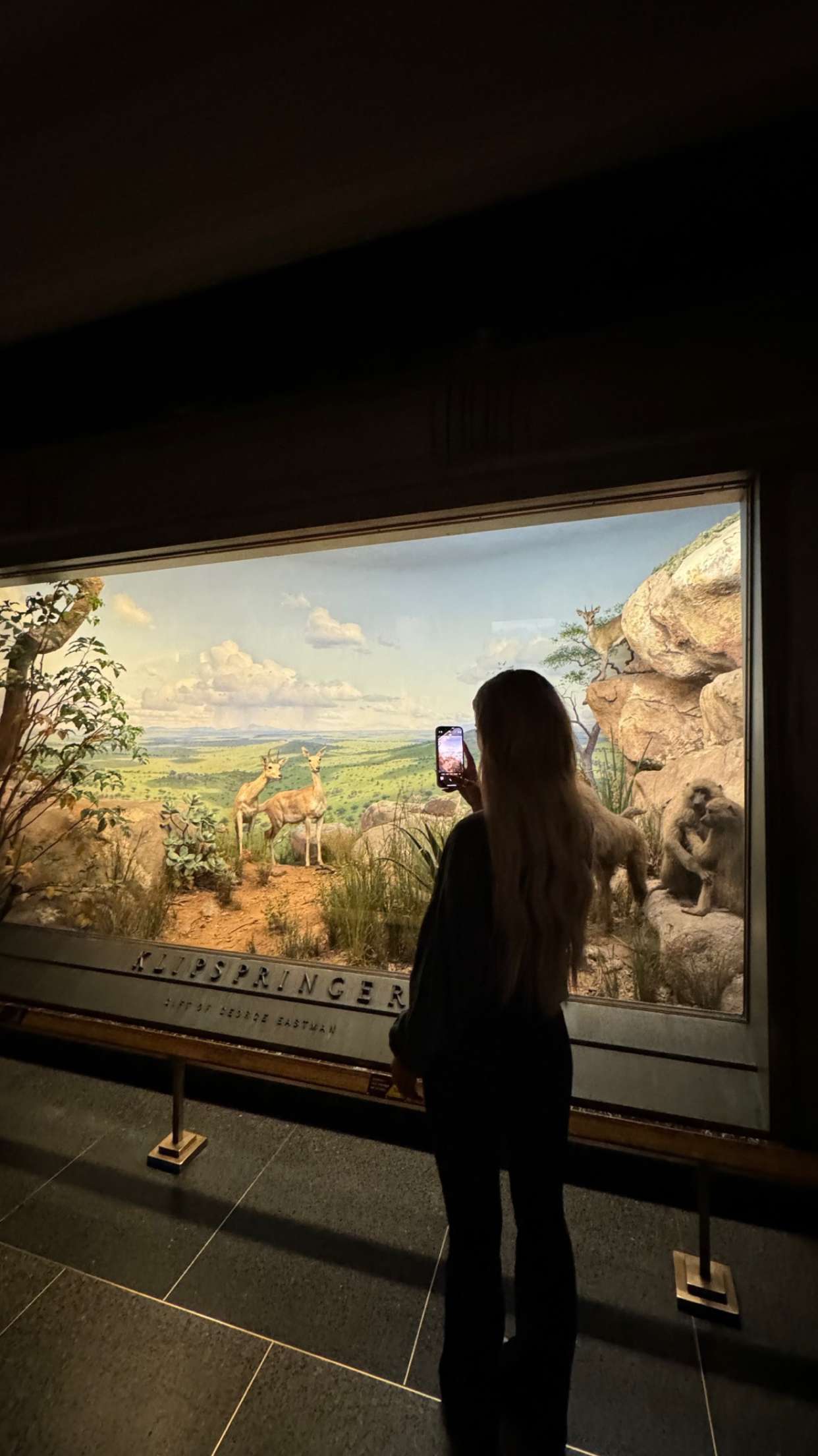 emilyelizabbeth snapchat image archive image