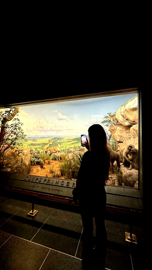 emilyelizabbeth image ~ Altpins