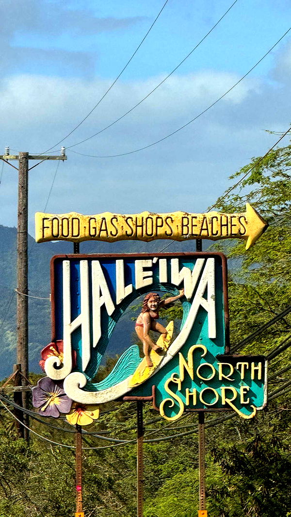 emilyelizabbeth image ~ Altpins