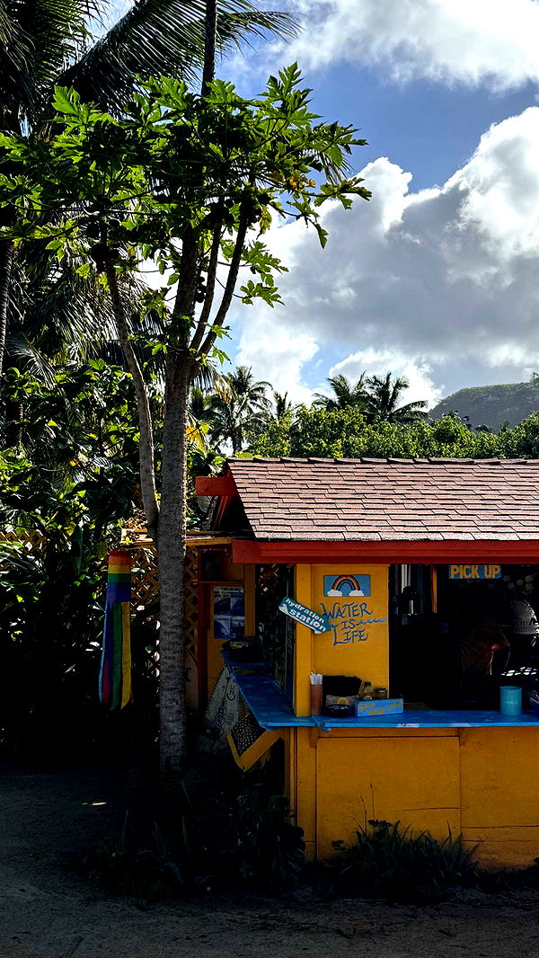 emilyelizabbeth image ~ Altpins