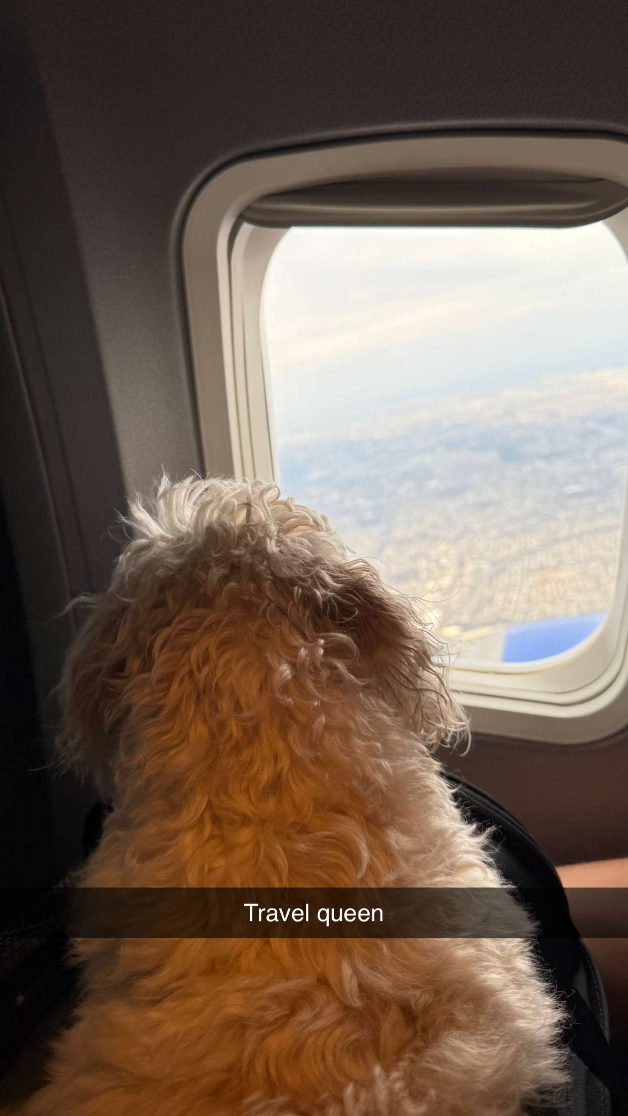 emilyelizabbeth snapchat image archive image