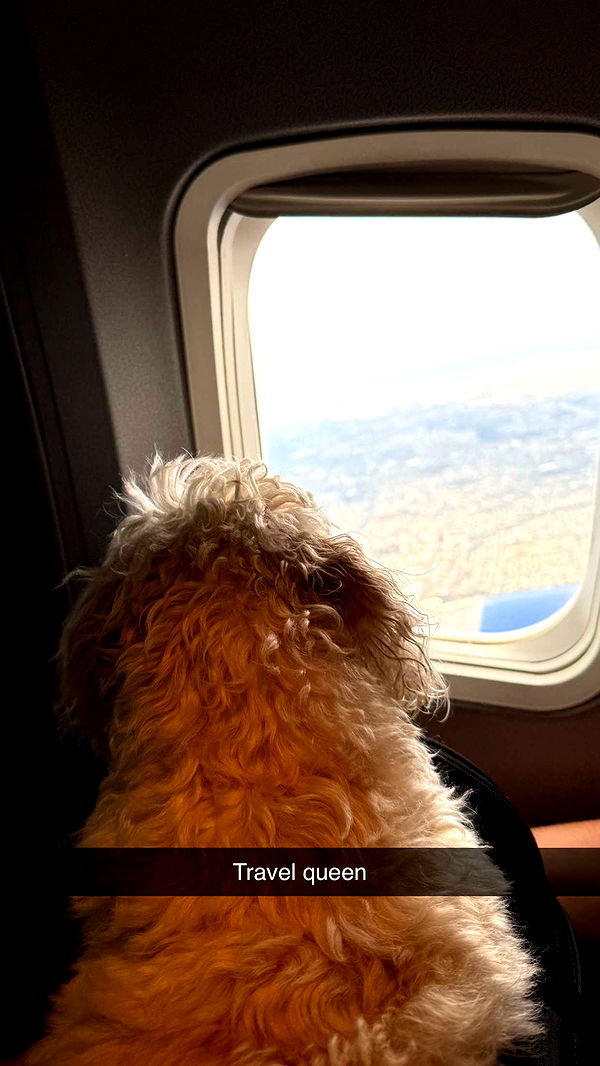 emilyelizabbeth image ~ Altpins