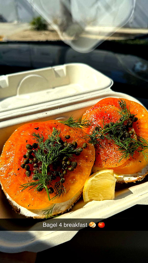 emilyelizabbeth image ~ Altpins