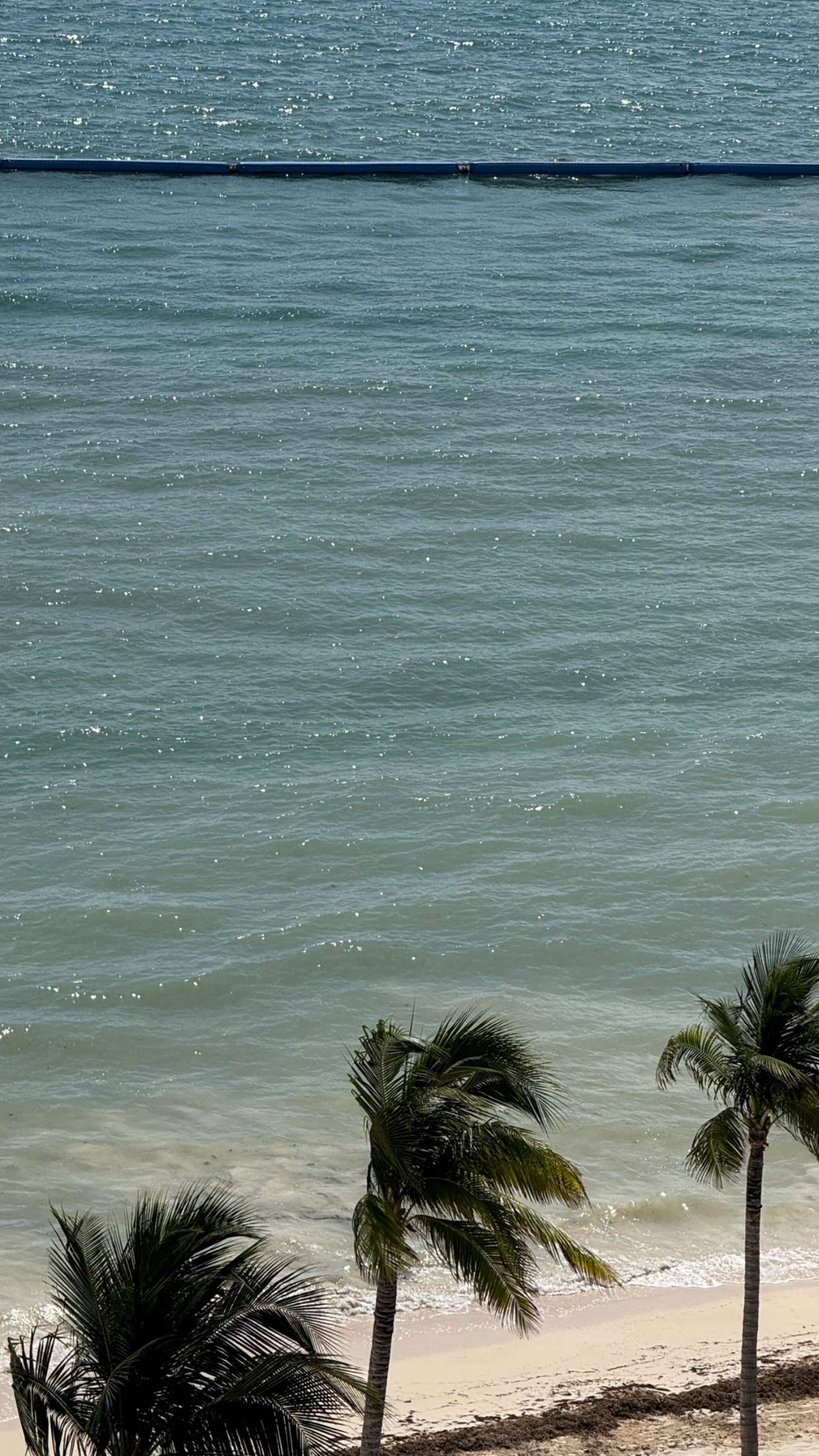 emilyelizabbeth snapchat image archive image