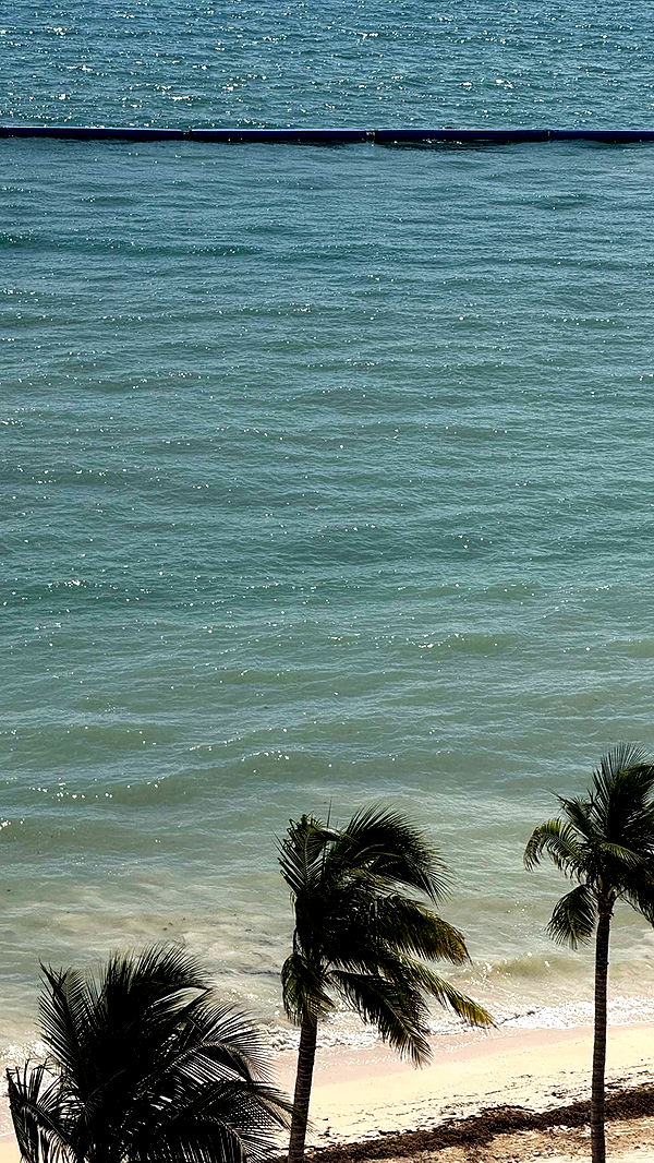 emilyelizabbeth image ~ Altpins