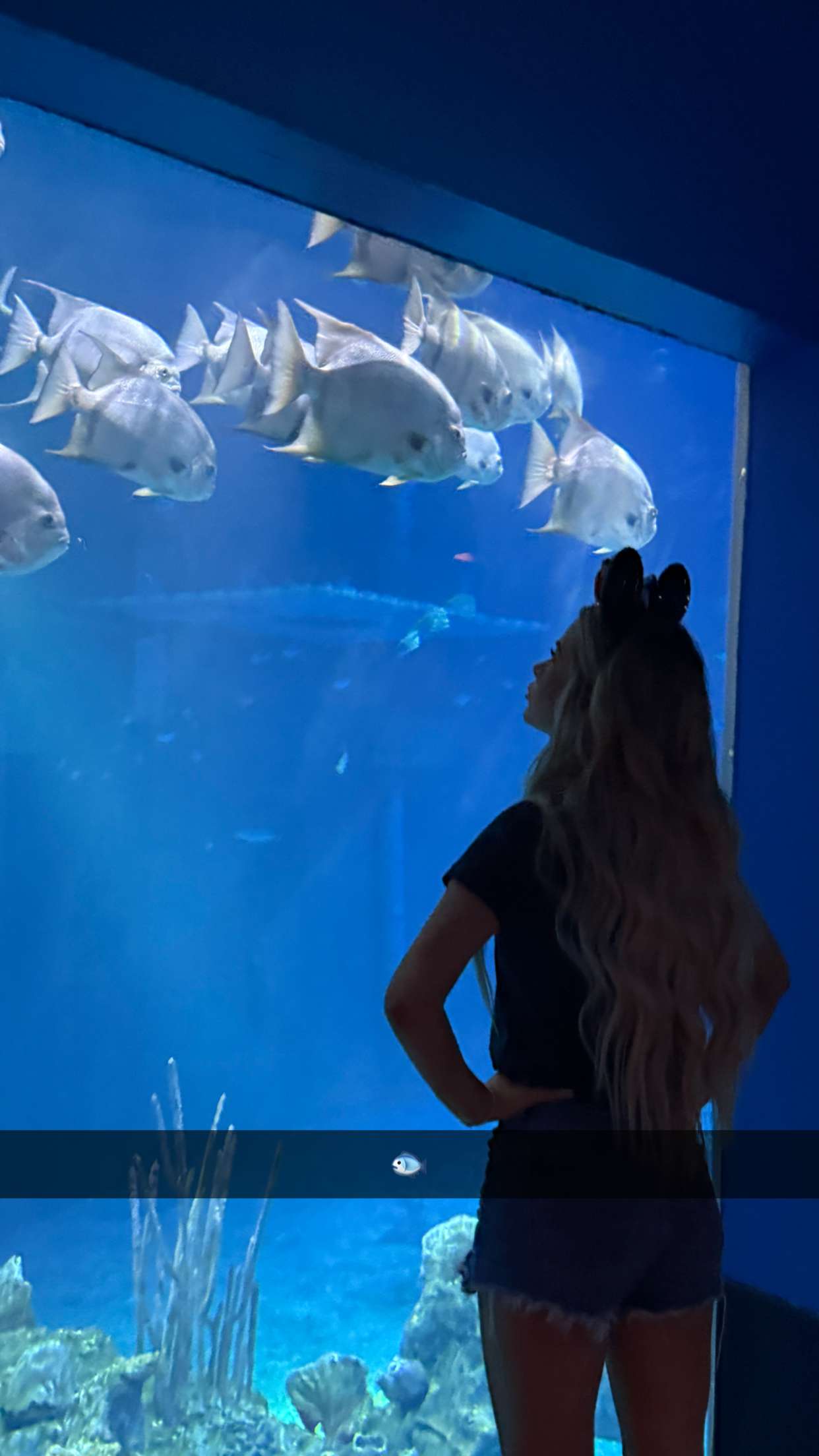 emilyelizabbeth snapchat image archive image