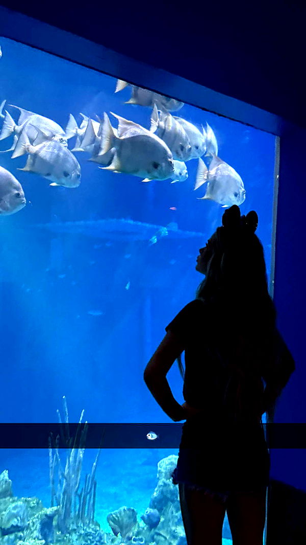 emilyelizabbeth image ~ Altpins