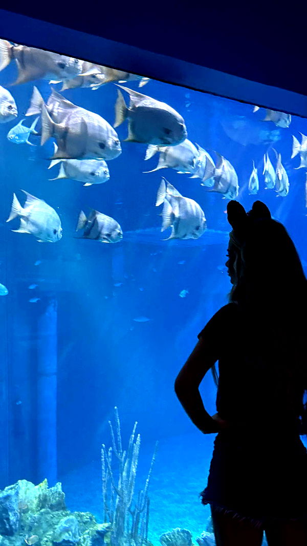 emilyelizabbeth image ~ Altpins