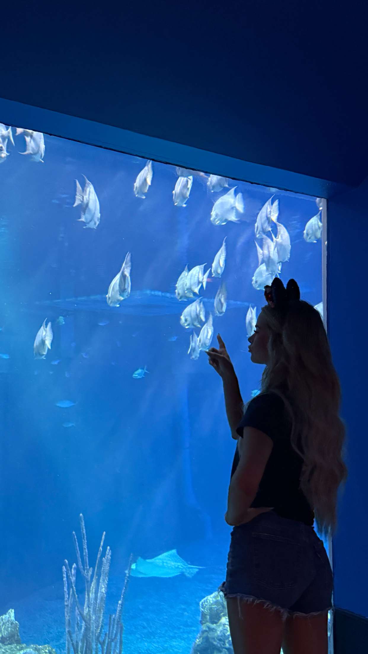 emilyelizabbeth snapchat image archive image