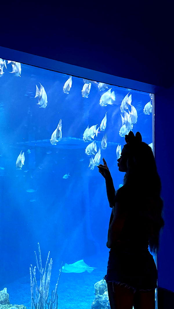 emilyelizabbeth image ~ Altpins