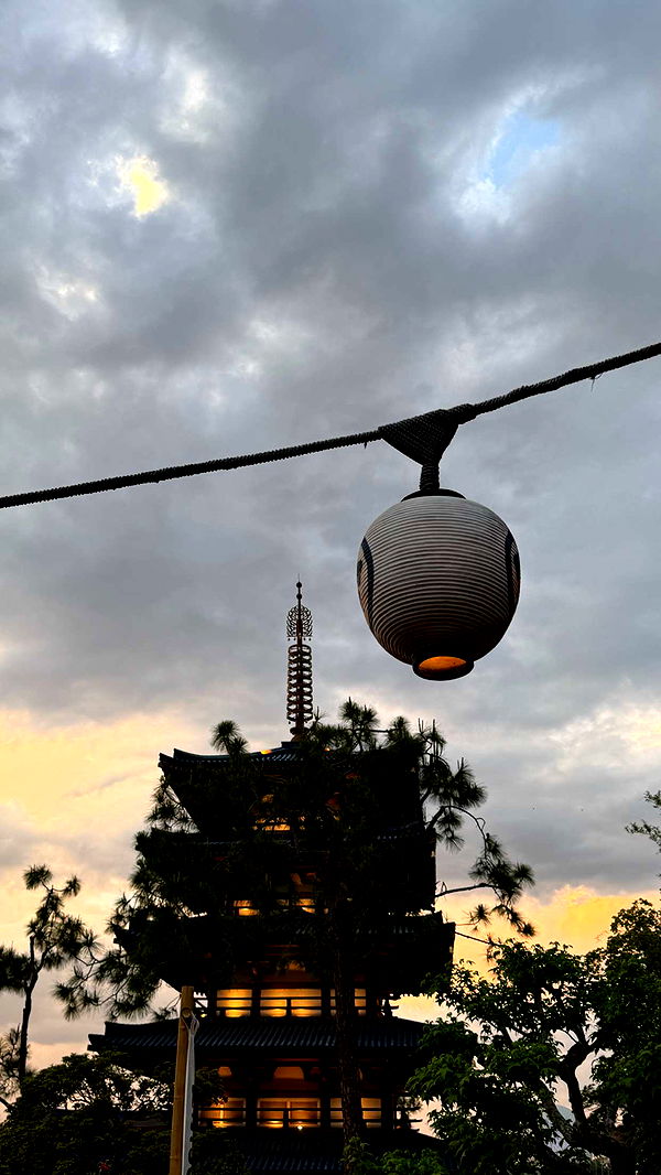 emilyelizabbeth image ~ Altpins