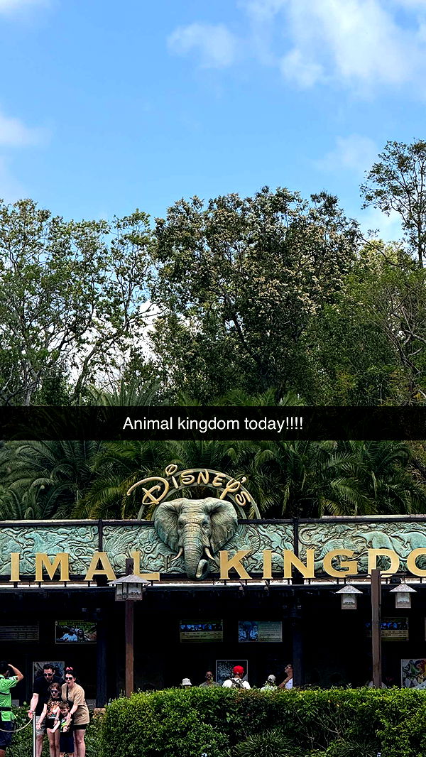 emilyelizabbeth image ~ Altpins