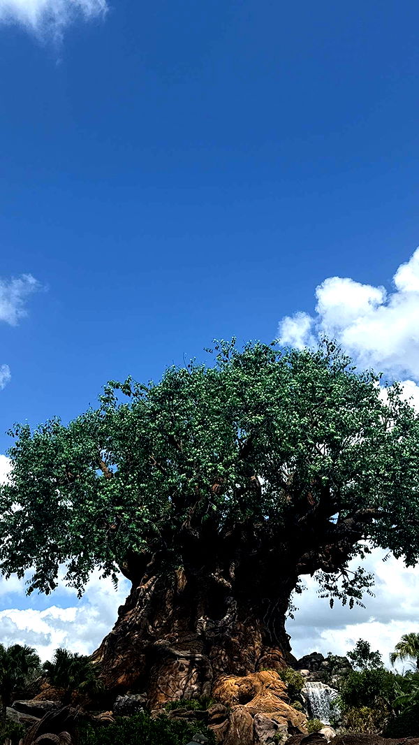 emilyelizabbeth image ~ Altpins