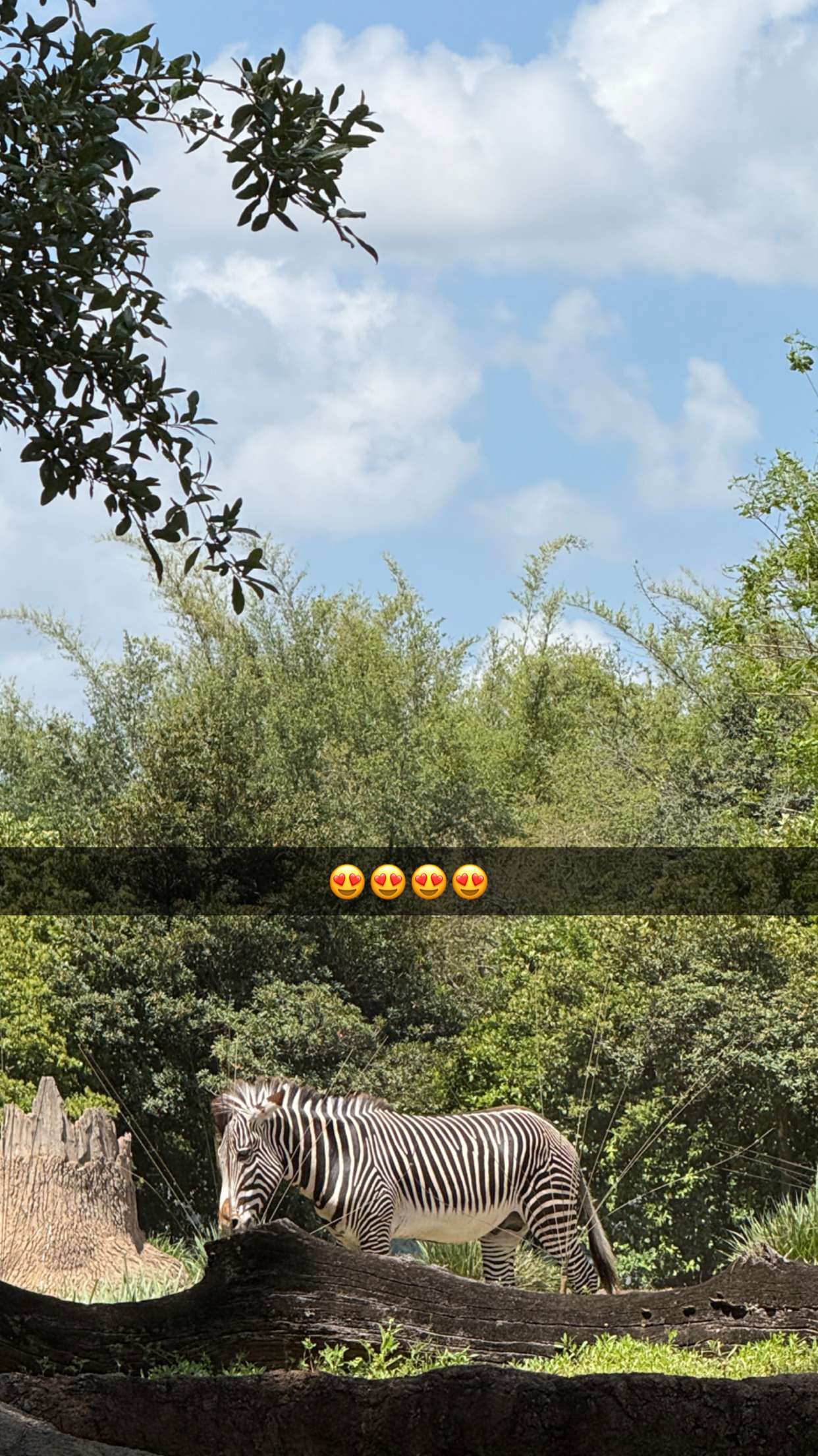 emilyelizabbeth snapchat image archive image