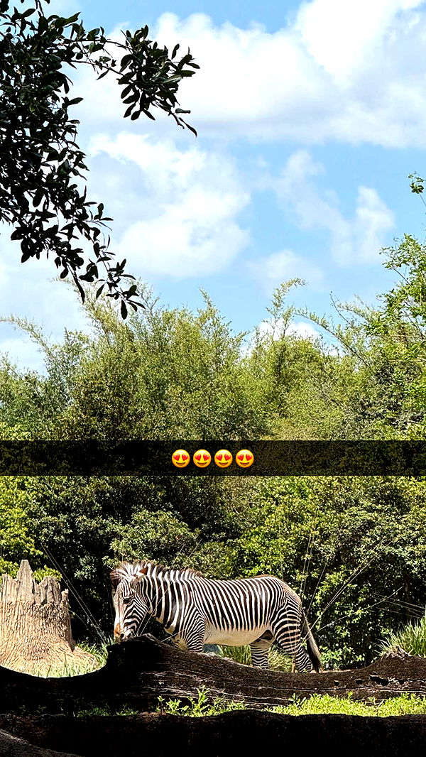 emilyelizabbeth image ~ Altpins