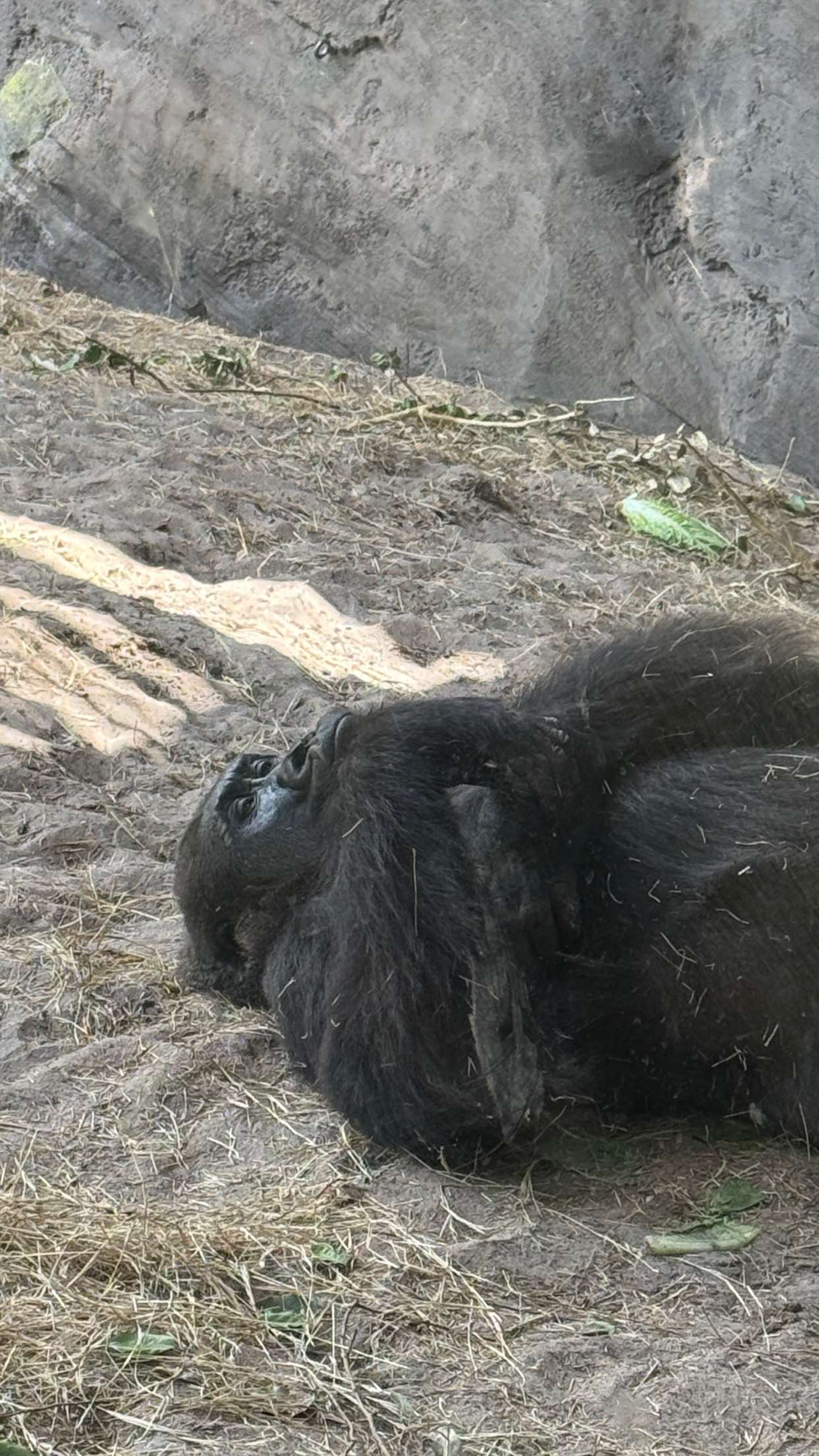 emilyelizabbeth snapchat image archive image