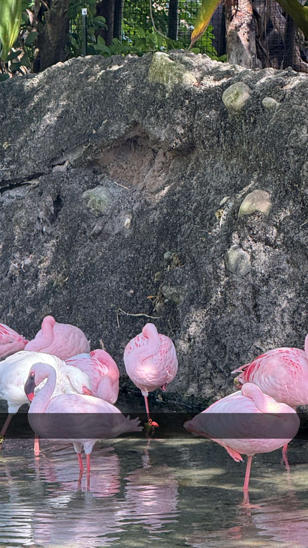 emilyelizabbeth snapchat image archive image