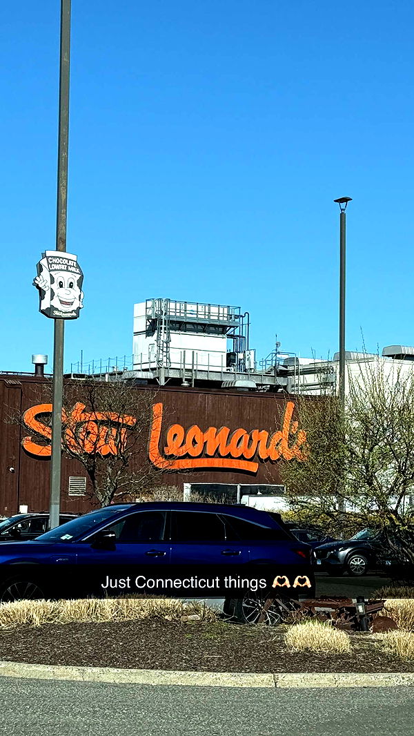 emilyelizabbeth image ~ Altpins