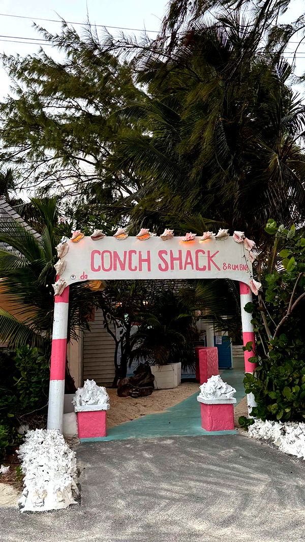 emilyelizabbeth image ~ Altpins