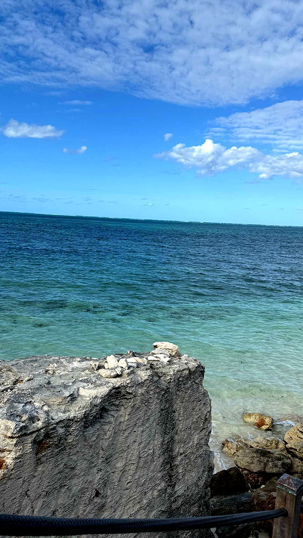 emilyelizabbeth image ~ Altpins