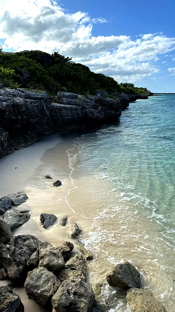 emilyelizabbeth image ~ Altpins