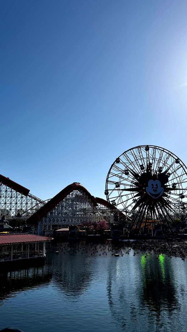 emilyelizabbeth image ~ Altpins