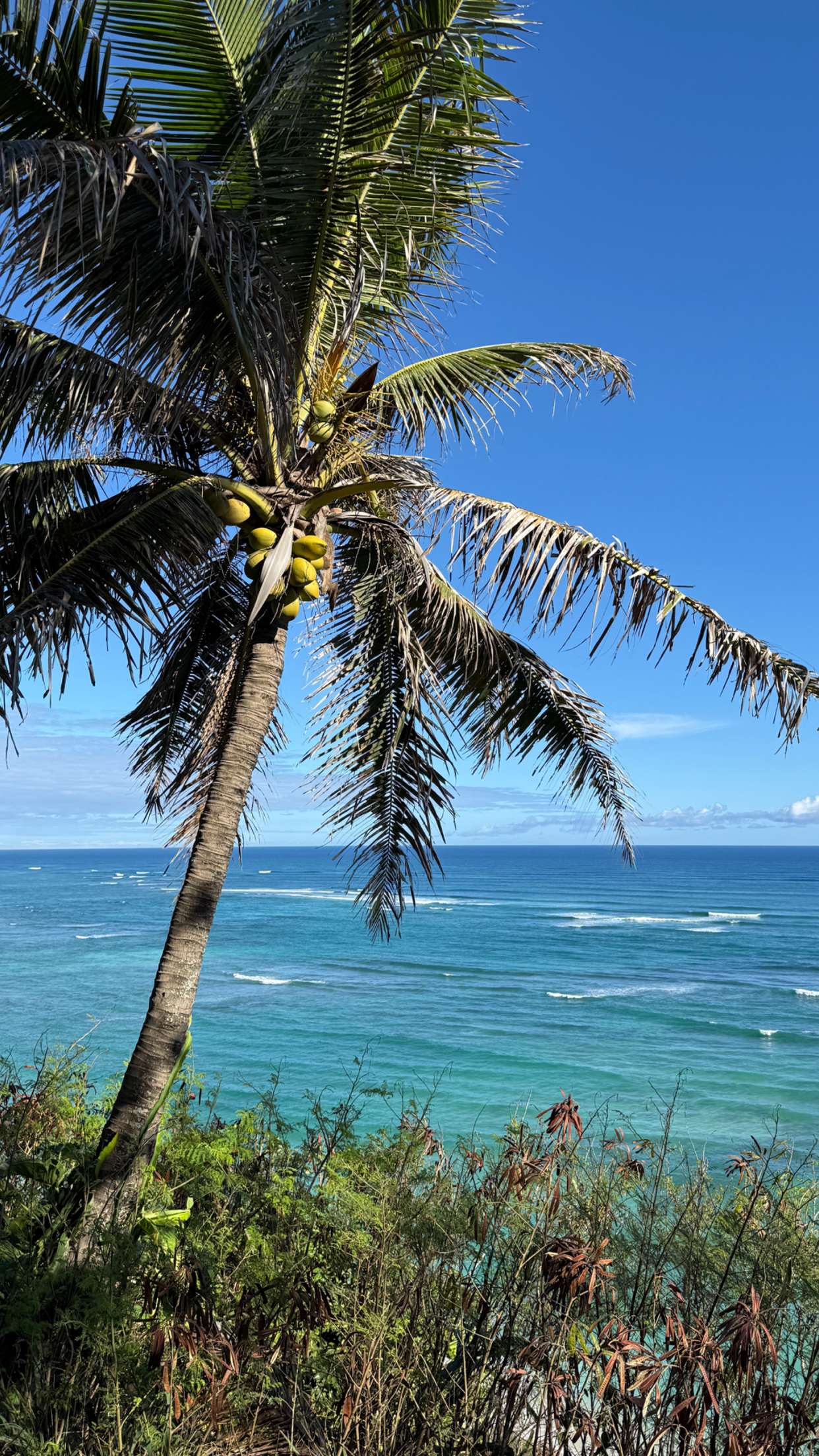 emilyelizabbeth snapchat image archive image