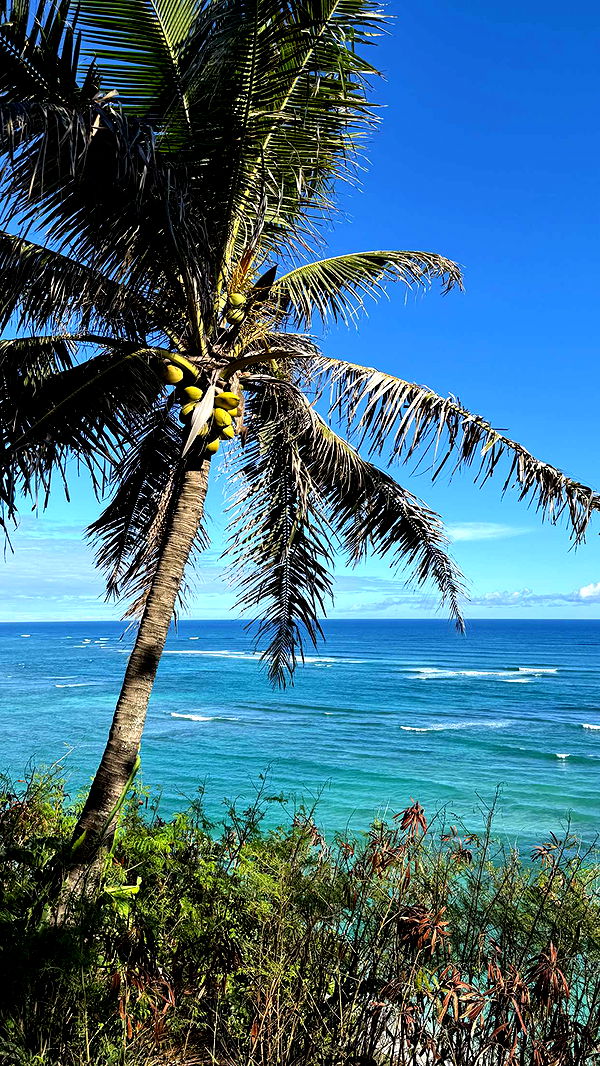 emilyelizabbeth image ~ Altpins