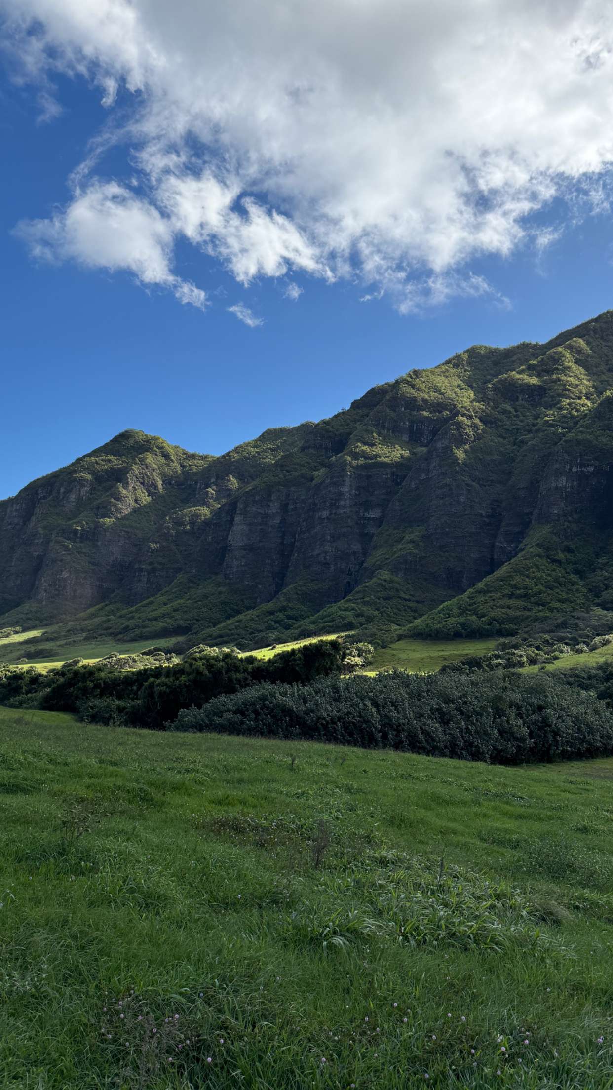 emilyelizabbeth snapchat image archive image