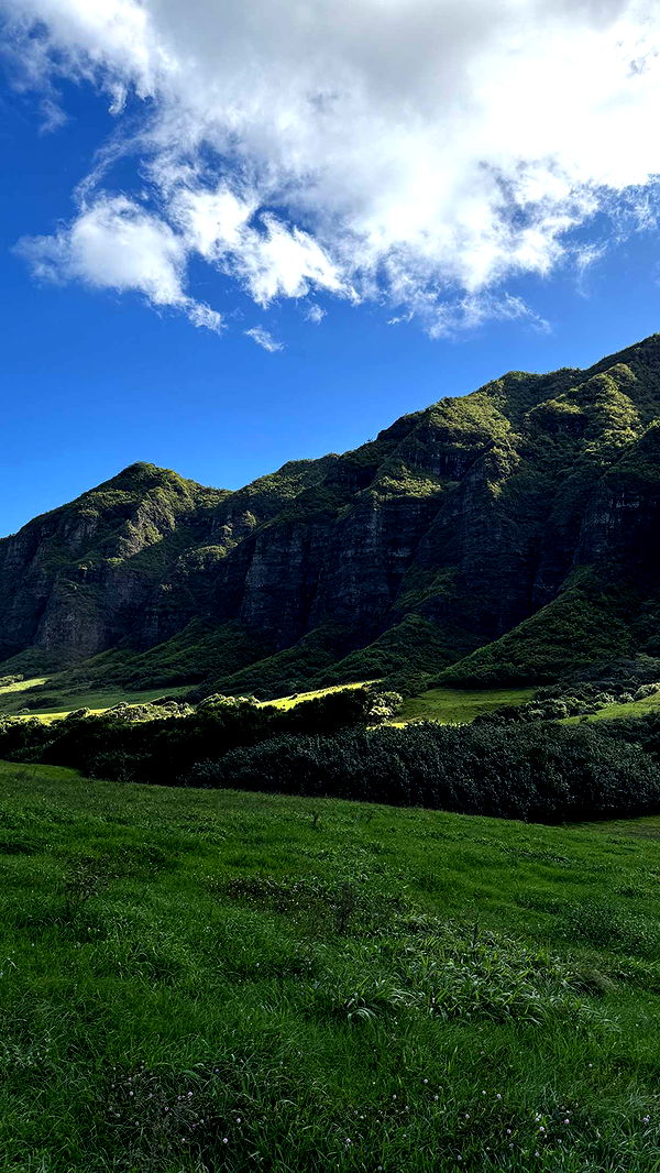 emilyelizabbeth image ~ Altpins