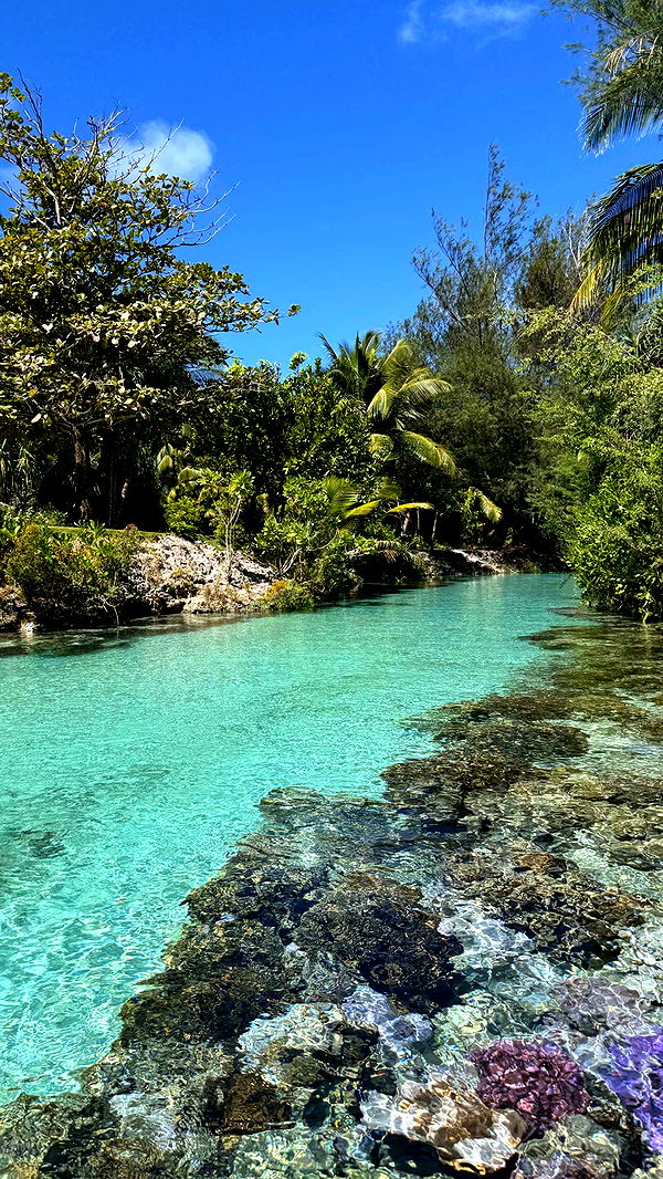 emilyelizabbeth image ~ Altpins