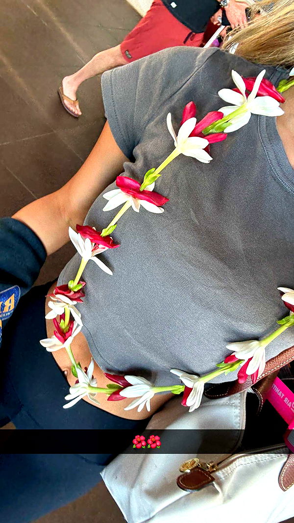 emilyelizabbeth image ~ Altpins