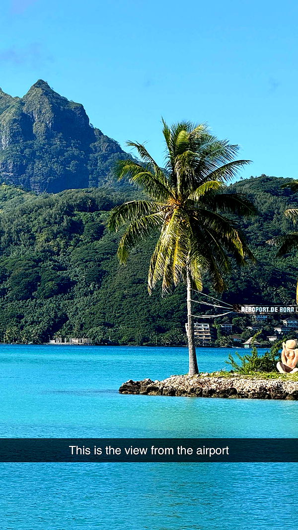 emilyelizabbeth image ~ Altpins