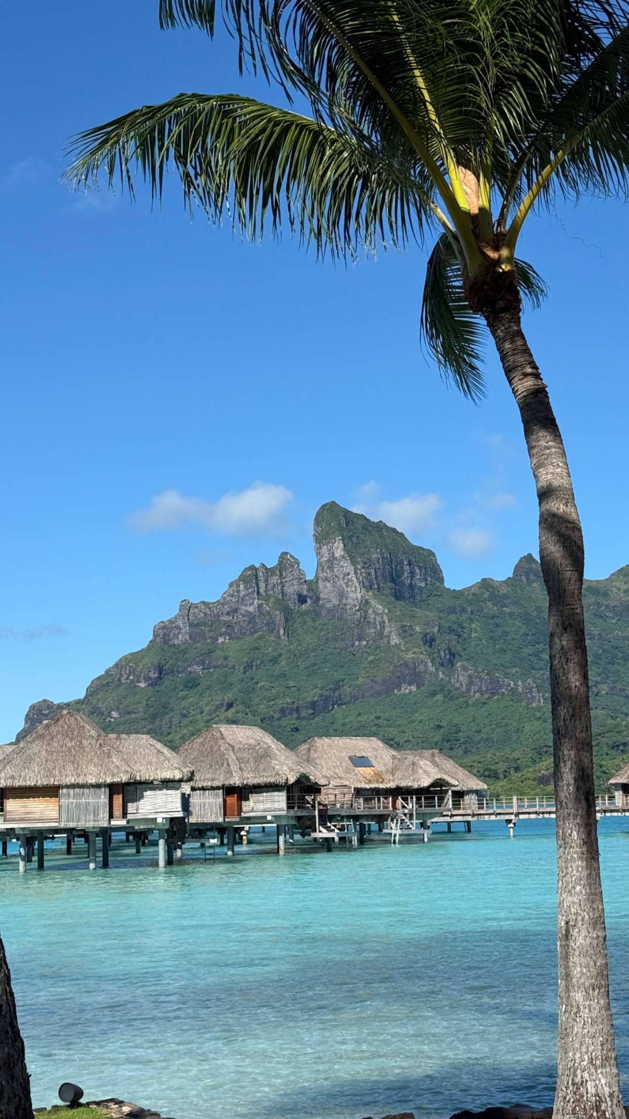 emilyelizabbeth snapchat image archive image