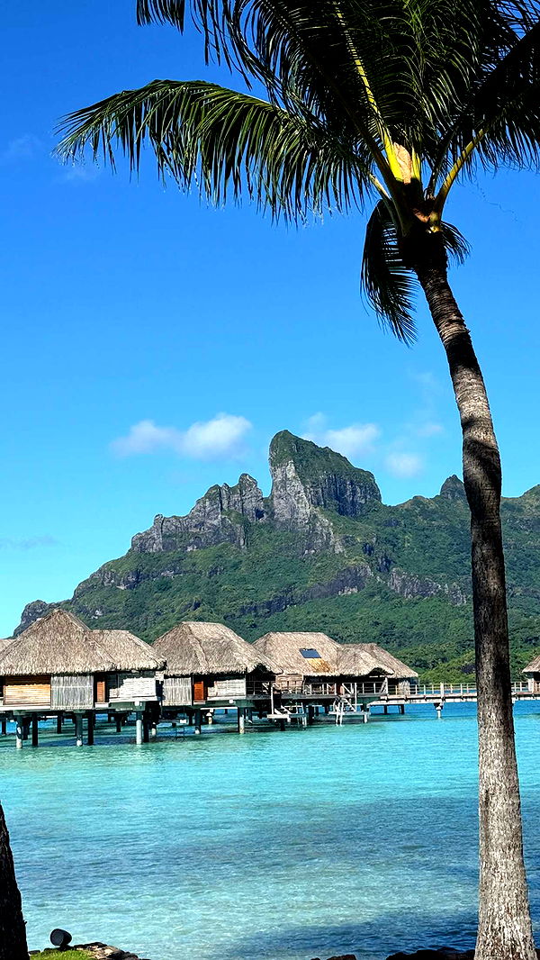 emilyelizabbeth image ~ Altpins