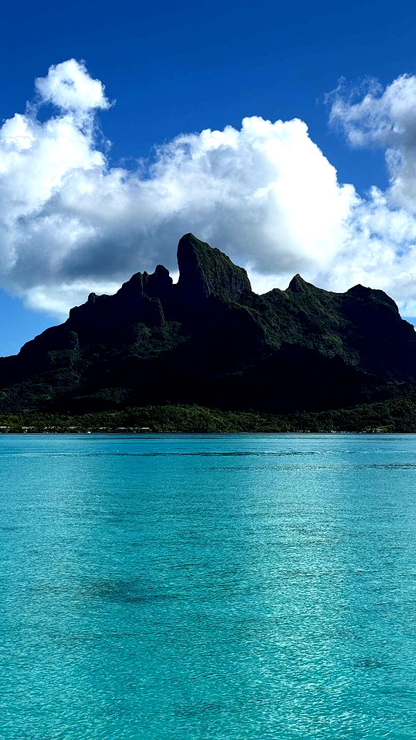 emilyelizabbeth image ~ Altpins