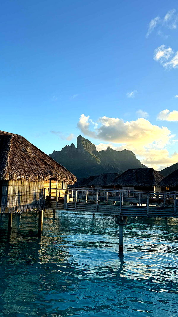 emilyelizabbeth image ~ Altpins