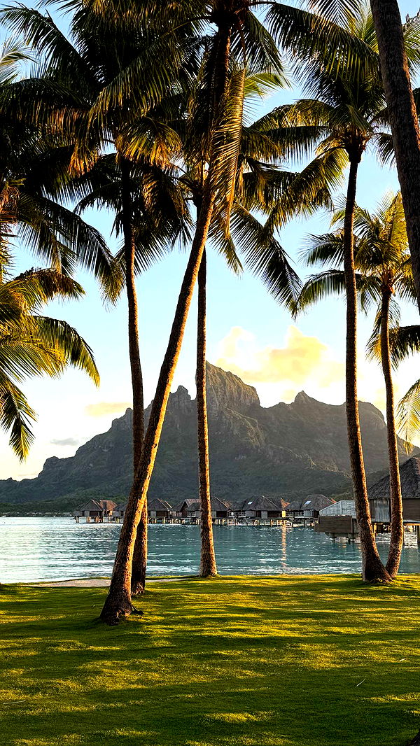 emilyelizabbeth image ~ Altpins