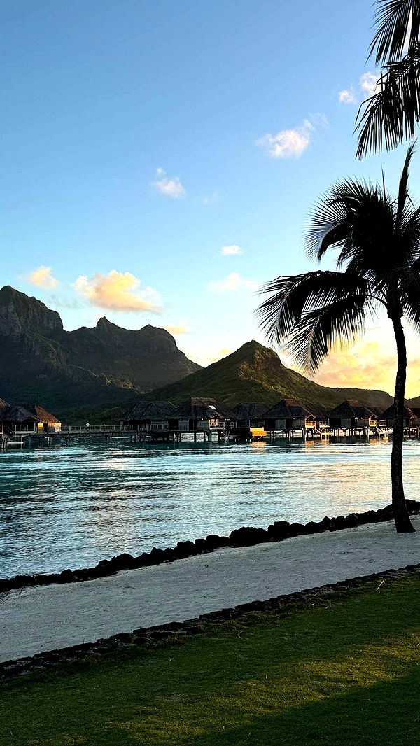 emilyelizabbeth image ~ Altpins