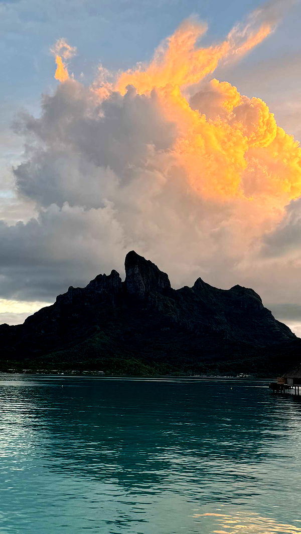 emilyelizabbeth image ~ Altpins