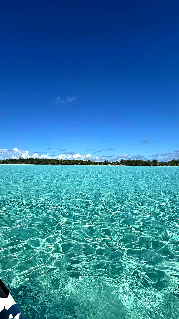 emilyelizabbeth image ~ Altpins