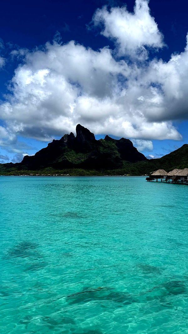 emilyelizabbeth image ~ Altpins